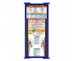 WhiteCoat Clipboard® Trifold - Blue Physical Therapy Edition